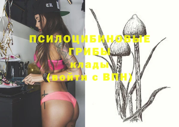 винт Алексеевка